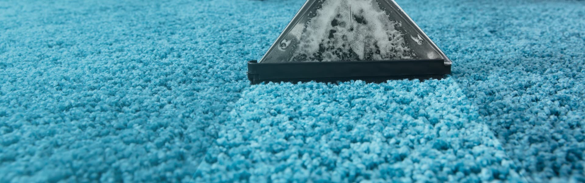 Carpet Cleaning